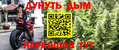 шишки Кимры