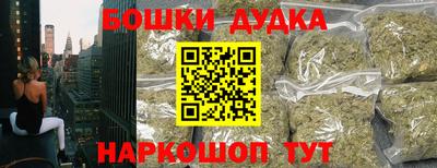 гидра Кингисепп